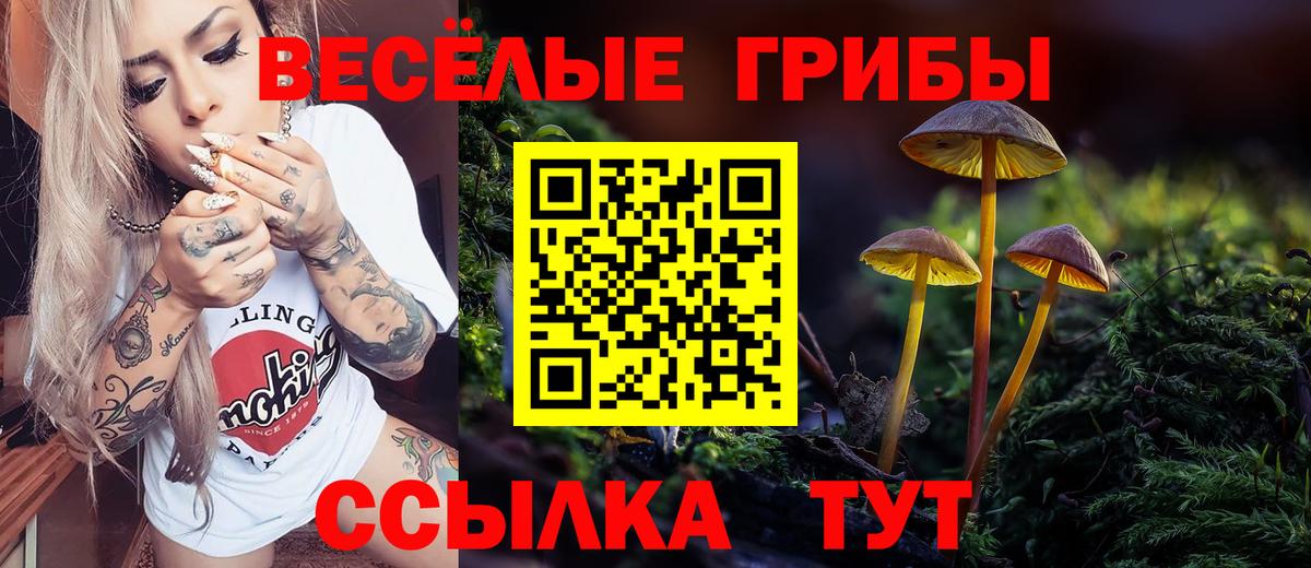 Калач-на-Дону  Галлюциногенные грибы Cubensis  Вход с VPN  Псилоцибиновые грибы ЛСД 