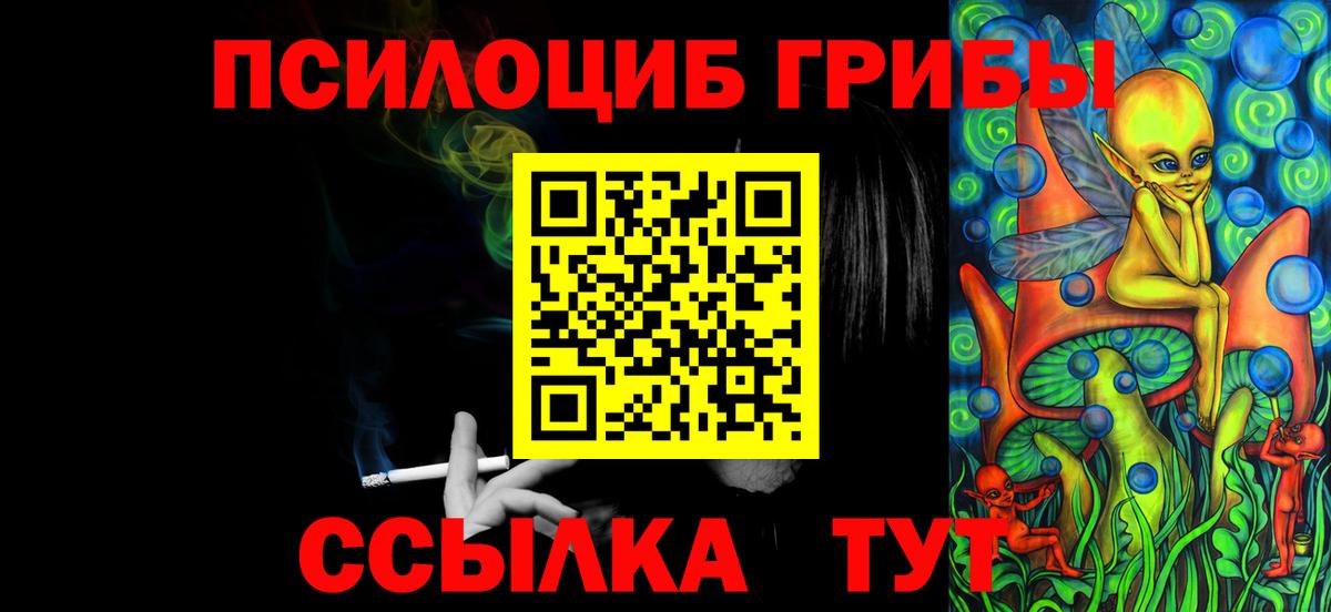 Галлюциногенные грибы прущие грибы Калач-на-Дону